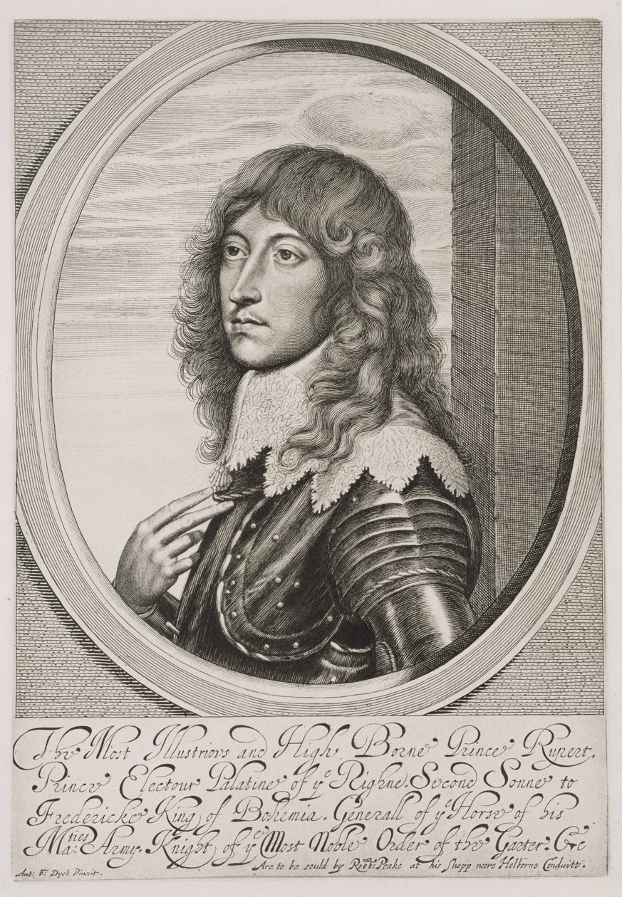 صورة للأمير روبرت (1619-82) كونت بالاتينات من نهر الراين ودوق بافاريا ، منقوش بواسطة ويليام فيثورن (1616-91) بواسطة أنتوني فان ديك