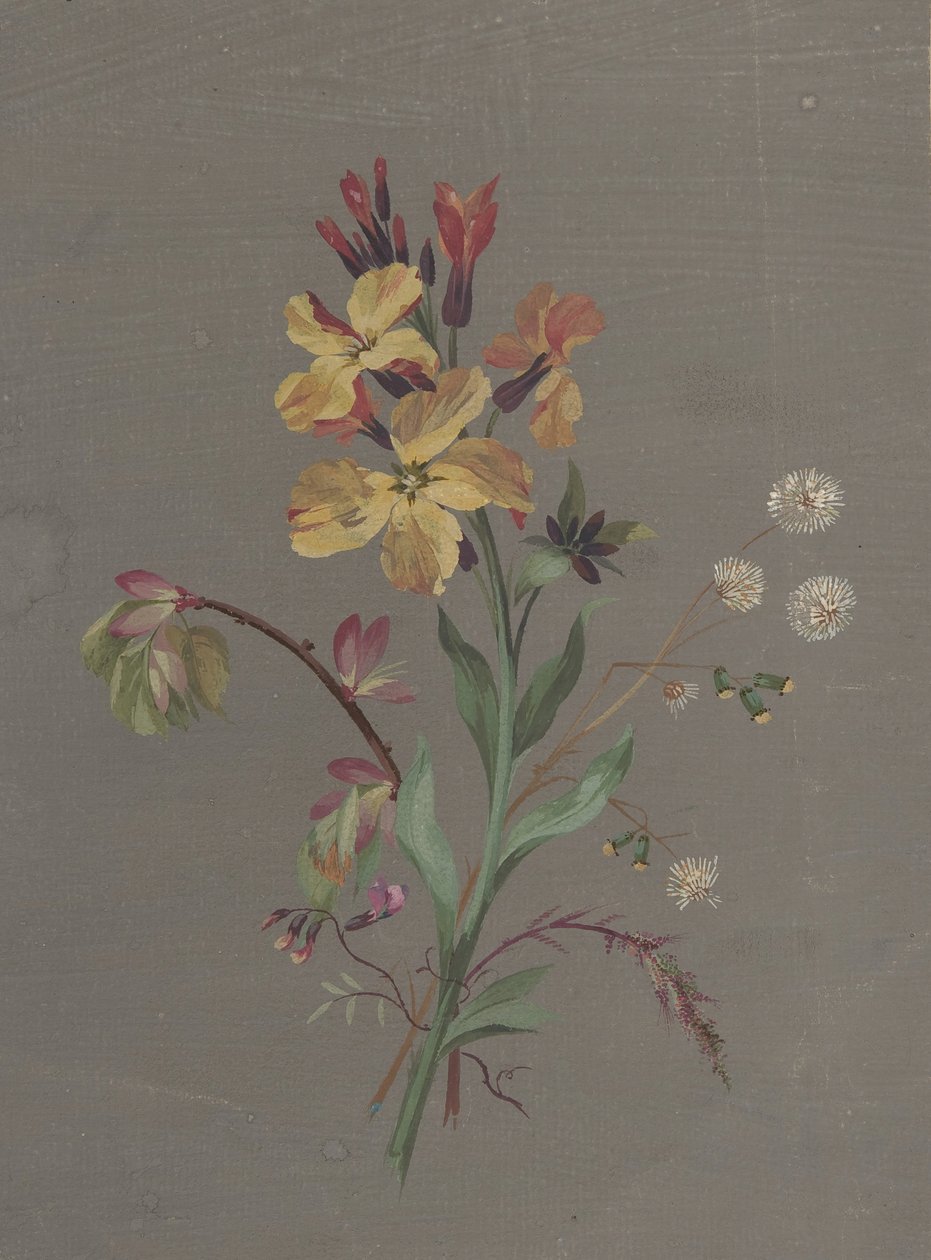 تصميم الأزهار ، كاليفورنيا. 1820. بواسطة أنطوان برجون