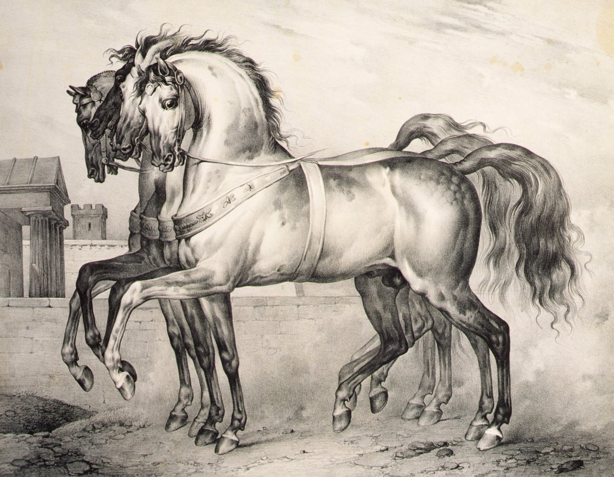 الخيول التي امتطها لويس فيليب ، دوق أورليانز في معركة فالمي ، نقشها فيكتور آدم (1801-66) حوالي 1834-1838 (ليثو) بواسطة أنطوان تشارلز هوراس فيرنيه