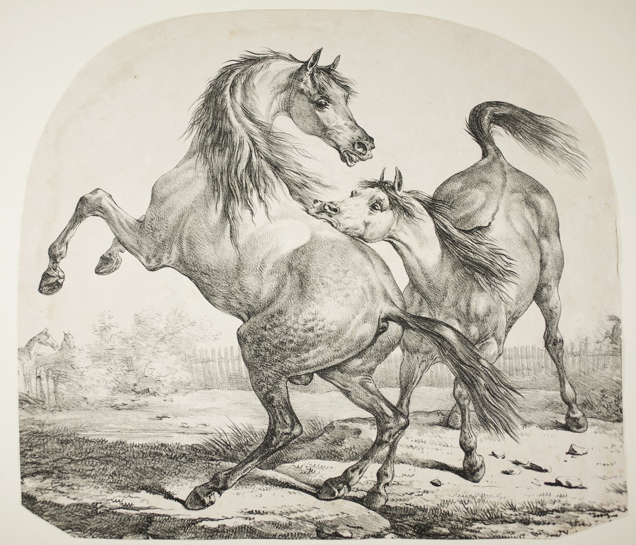 قتال الخيول البرية ، c.1820 بواسطة أنطوان تشارلز هوراس فيرنيه