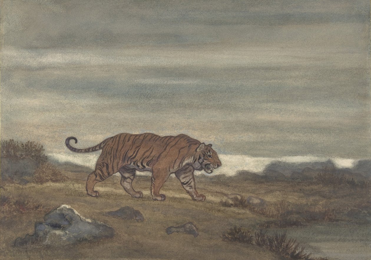 بركة تقترب النمر ، 1810-1875. بواسطة أنطوان لويس باري