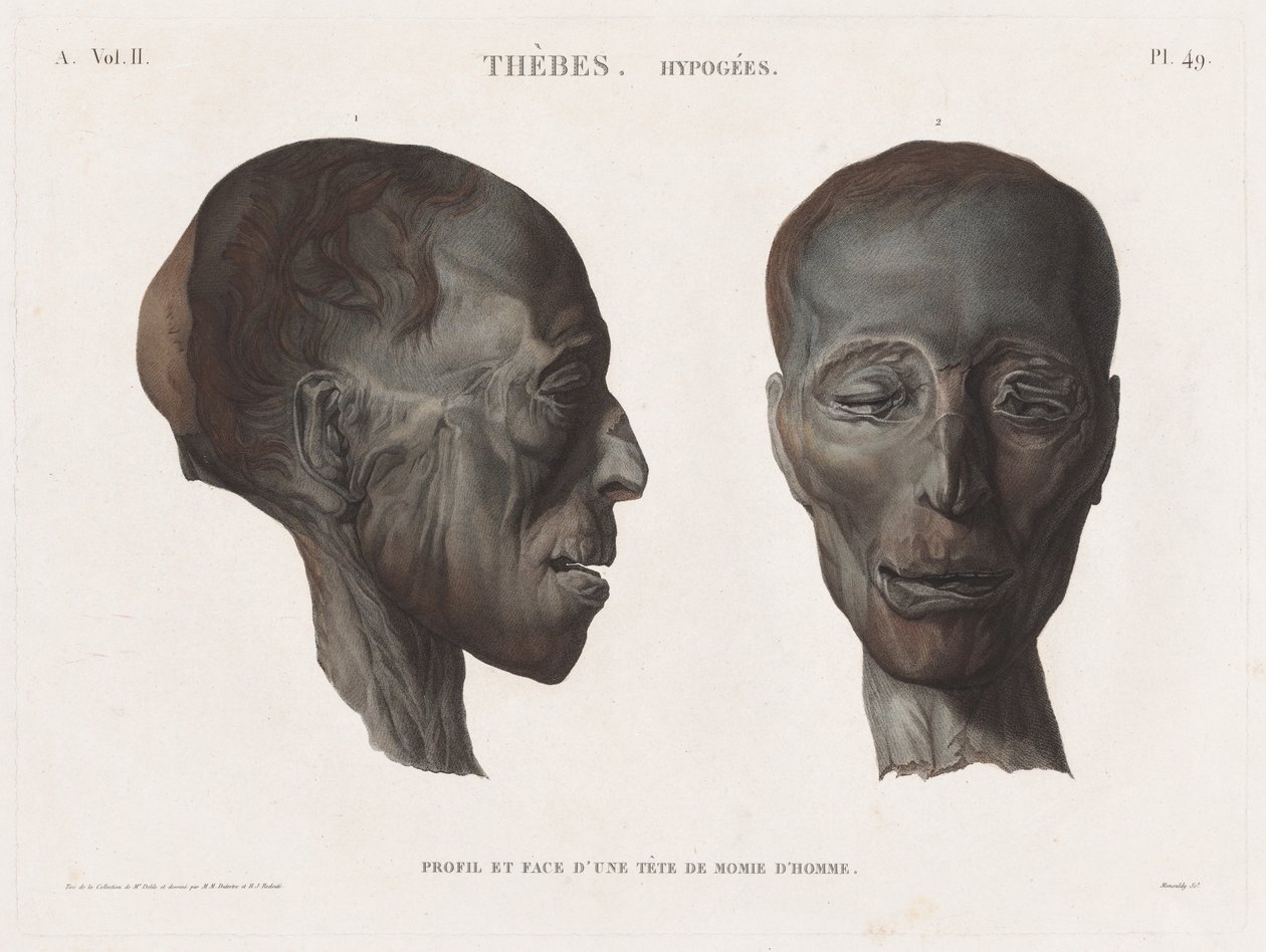 وصف مصر: طيبة. Hypogees المجلد. الثاني ، رر. 49. بواسطة أنطوان مكسيم مونسالدي