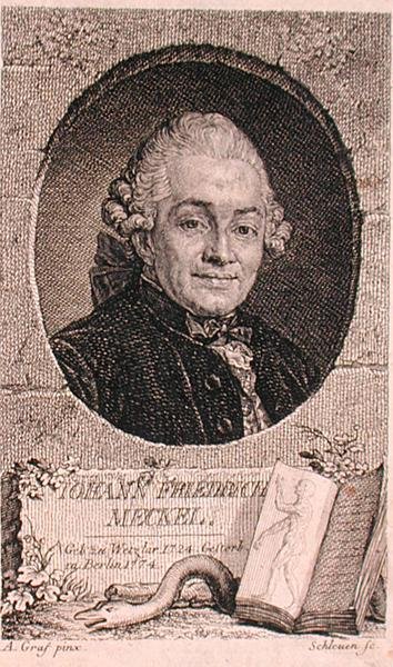 صورة يوهان فريدريش ميكل (1724-1776) نقشها جون شليون (1740-1774) (نقش) بواسطة انطون (بعد) غراف