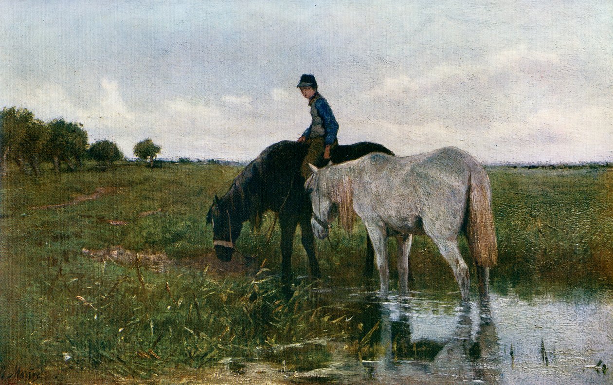 خيول الري ، 1871 ، 1912. بواسطة انطون موف