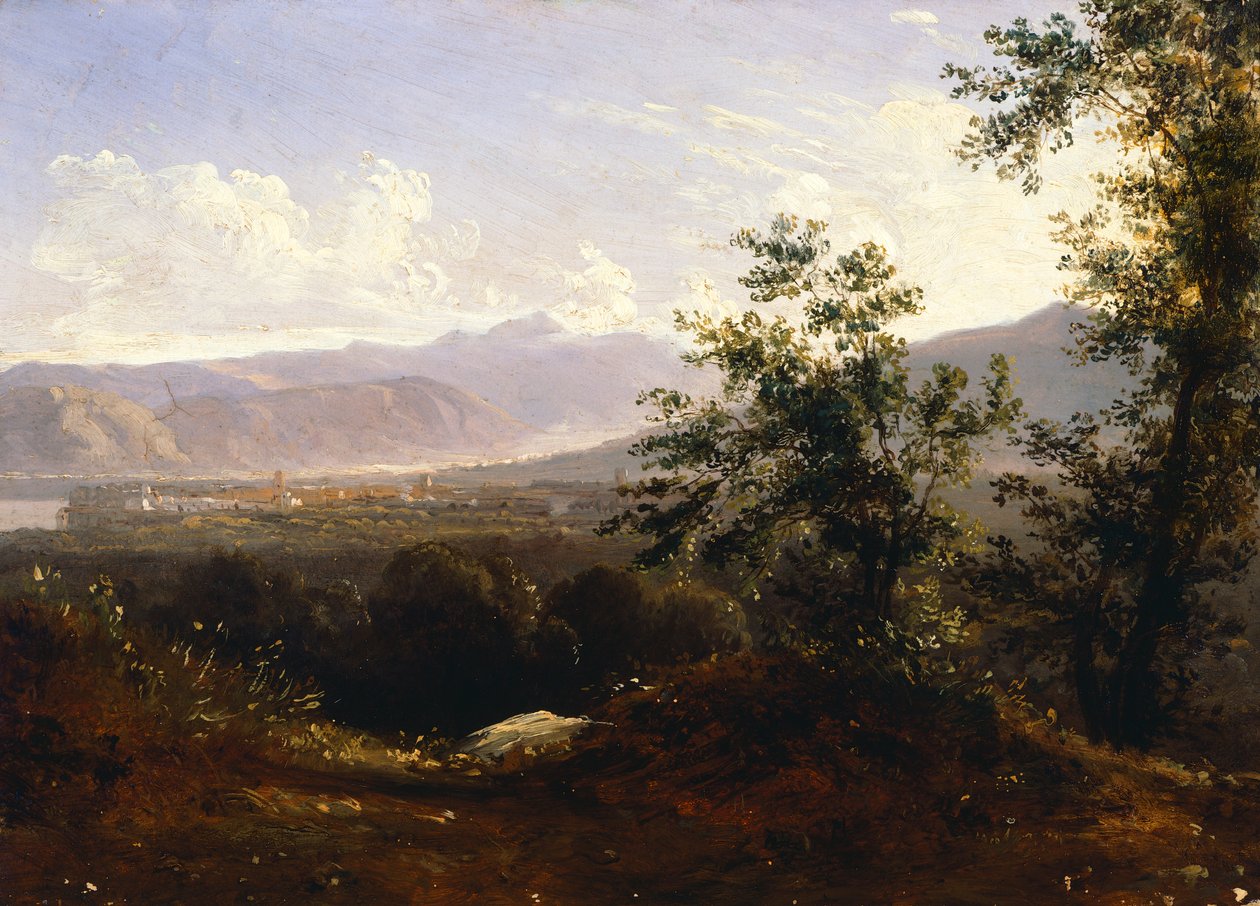 View of Sorrento from the Cape (oil on canvas) بواسطة انطون سيمينك بيتلو
