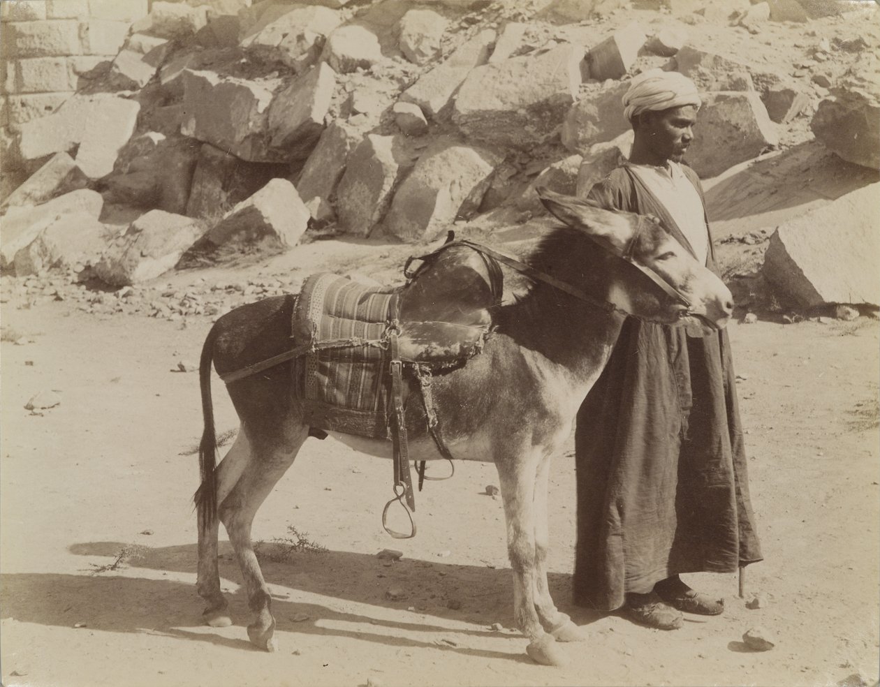بورييه وبوريكير ، مصر بواسطة أنطونيو بيتو
