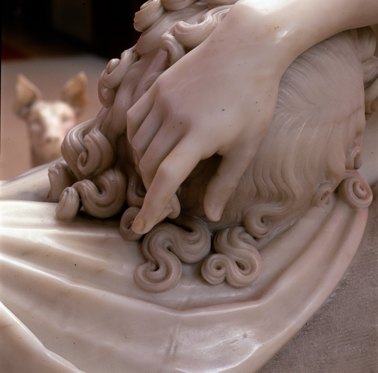 Head of Endymion بواسطة انطونيو كانوفا