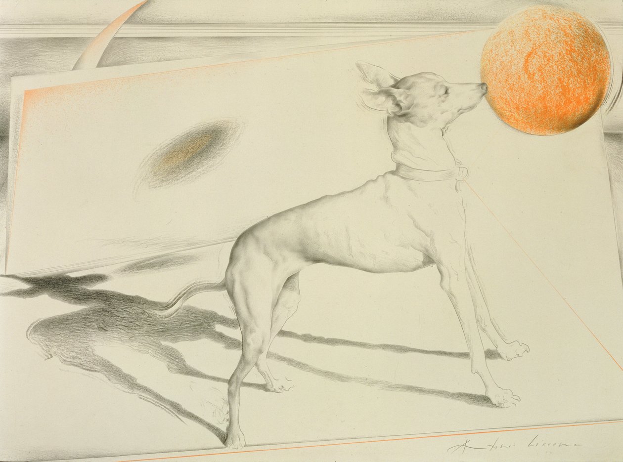 Space Dog (فحم وباستيل على ورق) بواسطة أنطونيو سيكون