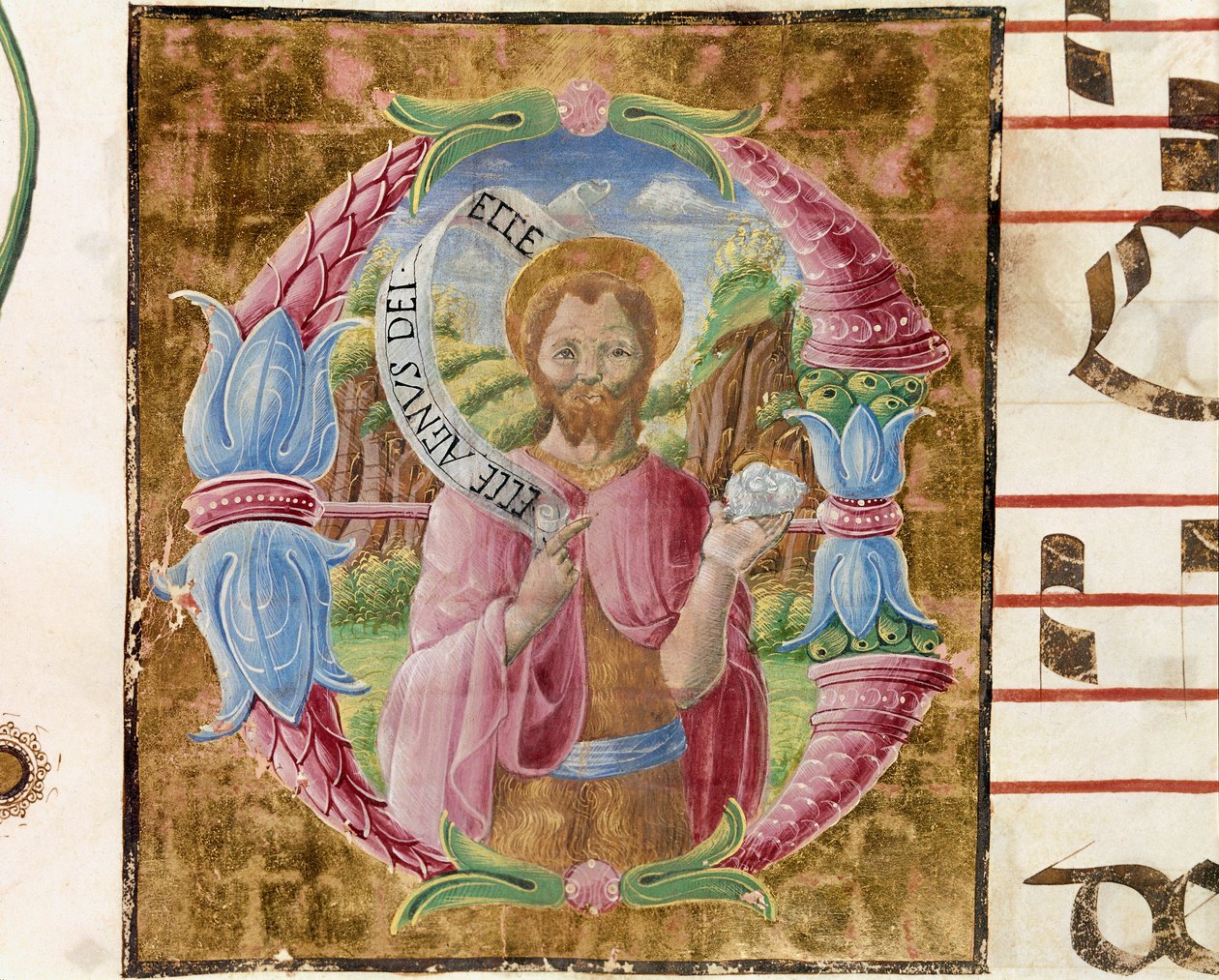 القديس يوحنا المعمدان Lettrine منارة من قبل أنطونيو Cicognari. التفاصيل من antiphonary. 1483. كريموني ، كورال 4 ، باب الكاتدرائية بواسطة أنطونيو سيكوجنارا
