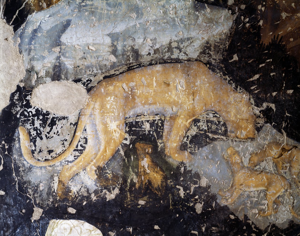 Dog, detail (fresco) بواسطة أنطونيو بيسانيلو
