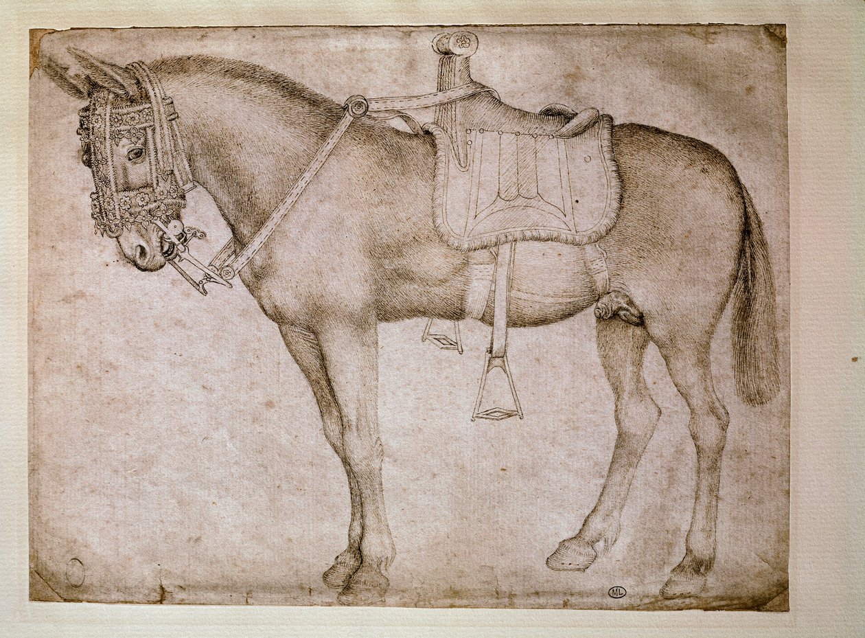 تسخير البغل. رسم أنطونيو بيسانو ديت إيل بيسانيلو (1380-1455) بواسطة أنطونيو بيسانيلو