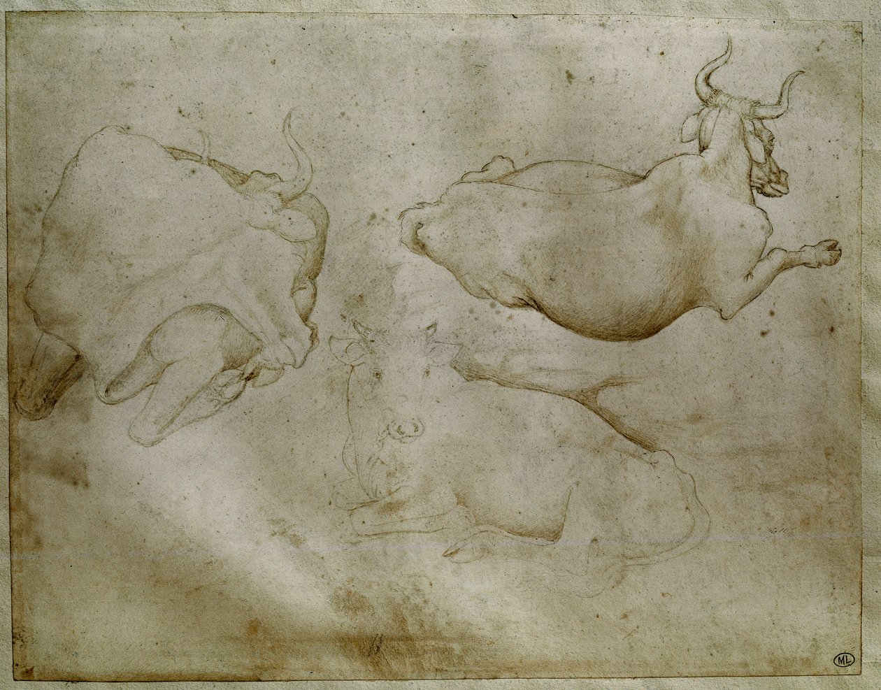 بقرتان وعرعر. رسم أنطونيو دي بوتشيو بيسانو ديت بيسانيلو (1395-1455). التمرير ، طرف معدني. الإرتفاع: ١٧.٦ سم. متحف اللوفر ، مجلس الوزراء medailles بواسطة أنطونيو بيسانيلو
