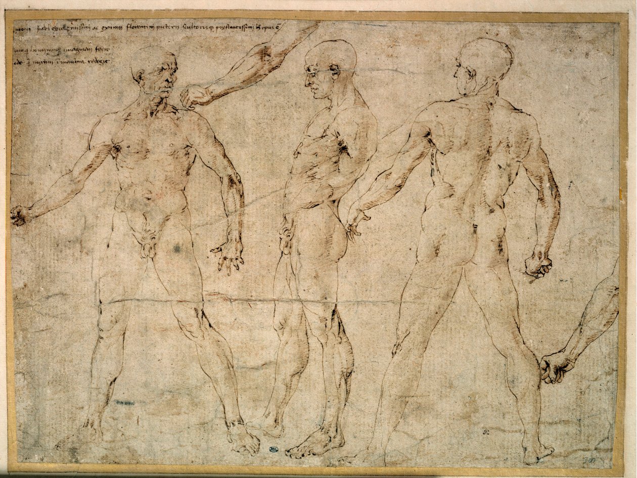ثلاثة رجال عراة. رسم أنطونيو بولايولو (بولايولو) (1432-1498) بواسطة أنطونيو بولايولو