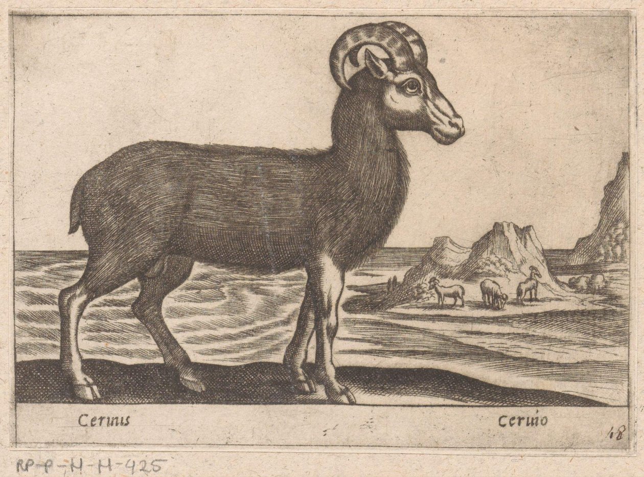 الأحجار الكريمة Cerinis / Ceruio (العنوان على الكائن) Dieren en fabelwezens (عنوان المسلسل) مجموعة جديدة من أكثر الحيوانات فضولاً في العالم (عنوان المسلسل) بواسطة انطونيو تمبيستا