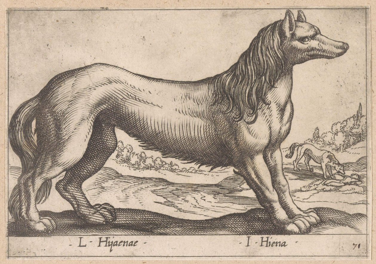 ضبع L Hijanae / I Hiena (العنوان على الكائن) Dieren en fabelwezens (عنوان المسلسل) مجموعة جديدة من الحيوانات الغريبة في العالم (عنوان المسلسل) بواسطة انطونيو تمبيستا