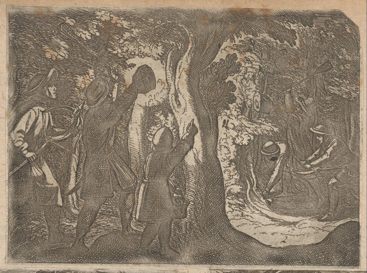يصطاد الصيادون الطيور في الليل مشاهد الصيد (الجزء الثاني) (عنوان السلسلة) Primo libro di caccie varie (عنوان المسلسل) بواسطة انطونيو تمبيستا