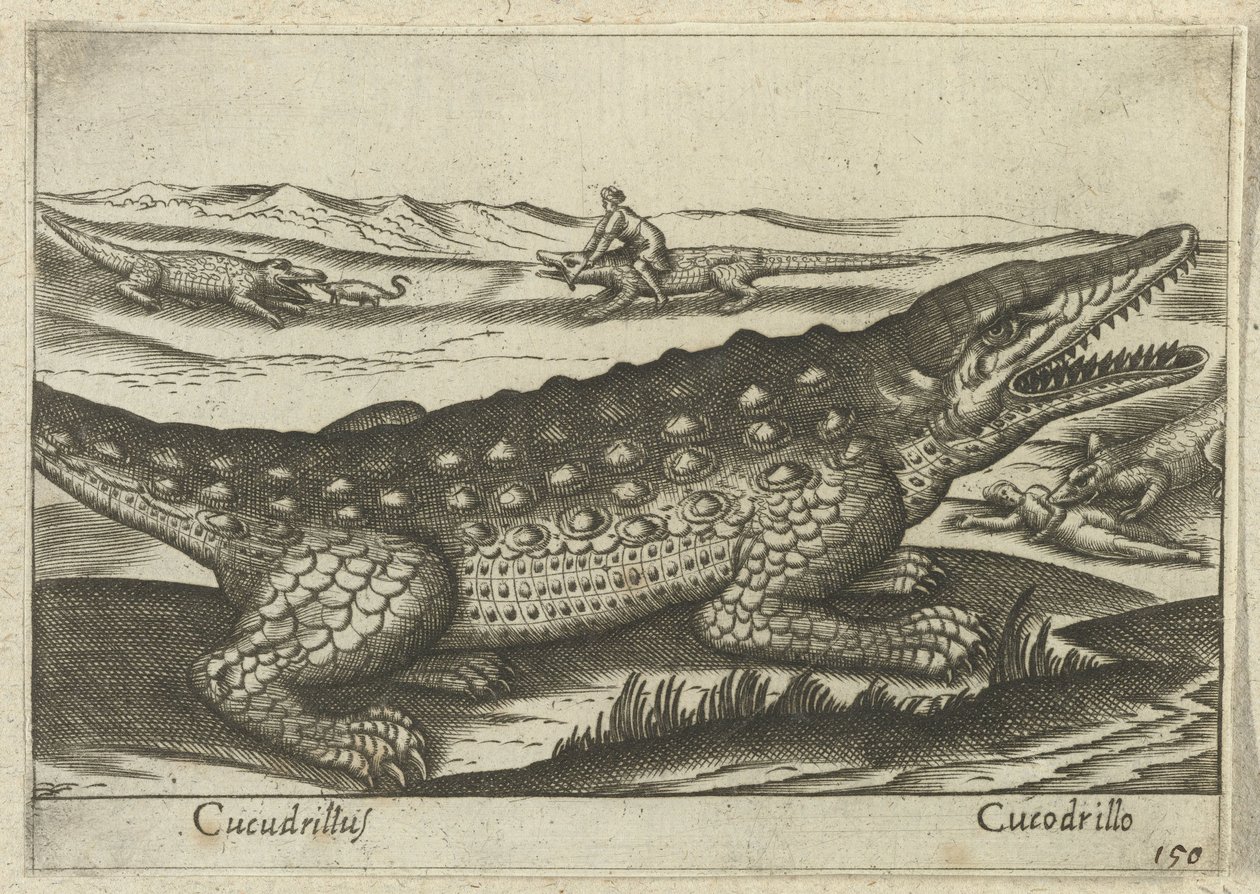 تمساح Cucodrillus / Cucodrillo (العنوان على الكائن) Dieren en fablewezens (عنوان المسلسل) مجموعة جديدة من أكثر الحيوانات فضولاً في العالم (عنوان المسلسل) بواسطة انطونيو تمبيستا