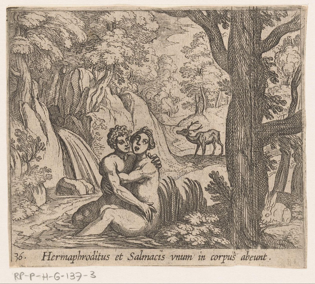 Salmacis و Hermaphroditus يترك Hermaphroditus و Salmacius جسدًا واحدًا (العنوان على الكائن) Metamorphoseon أو التحويلات (عنوان السلسلة) ميتامورفوسين فان أوفيديوس (عنوان المسلسل) بواسطة انطونيو تمبيستا