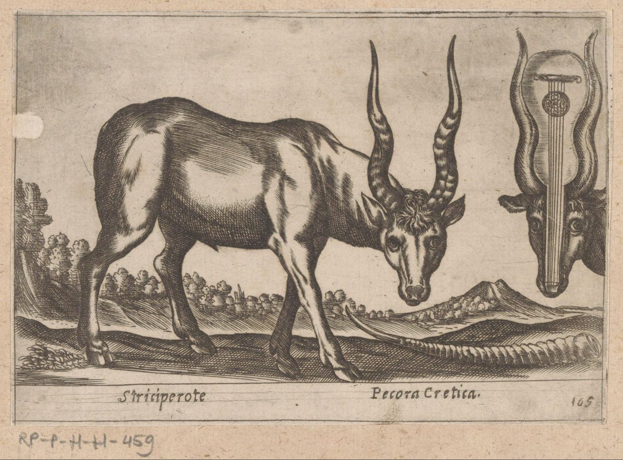 اثنين من الظباء Striciperote / Cretan Cattle (العنوان على الكائن) Dieren en fablewezens (عنوان المسلسل) نوفا راكولتا دي لي أنيمالي بيو كوريوسي ديل موندو (عنوان المسلسل) بواسطة انطونيو تمبيستا