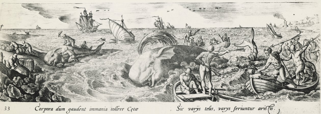 صيد الحيتان ، أنطونيو تيمبيستا (1555-1630) ، نقش ، إيطاليا بواسطة انطونيو تمبيستا