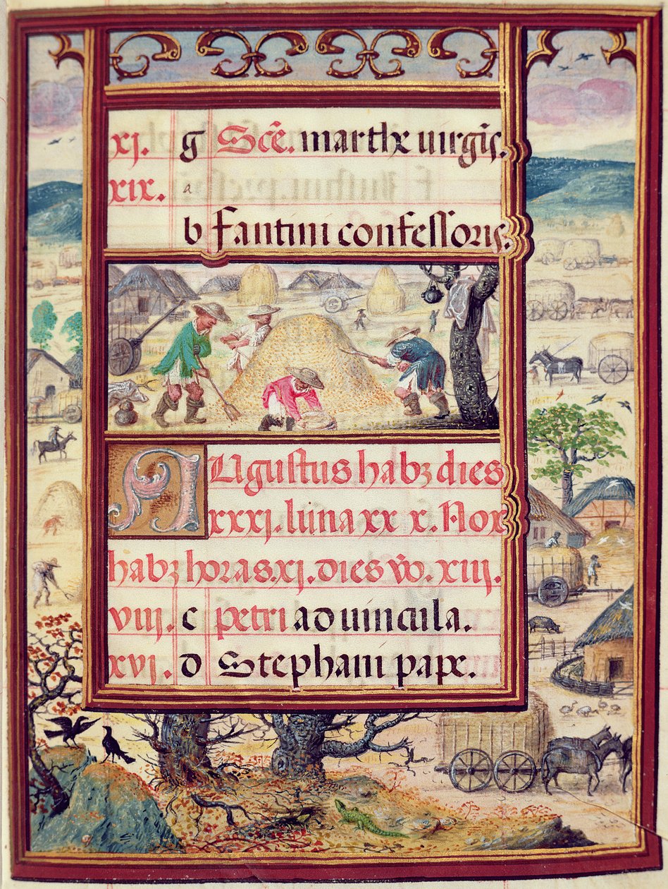 شهر أغسطس ، المنمنمات من "كتاب ساعات دوم مانويل" ، 1517-38 (درجة الحرارة على الرق) بواسطة أنطونيو دي هولاندا