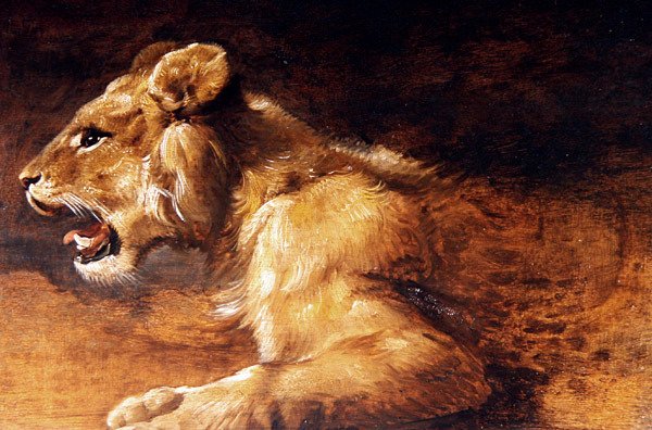 دراسة لأسد صغير حوالي عام 1640 (زيت على لوح) بواسطة مدرسة أنتويرب