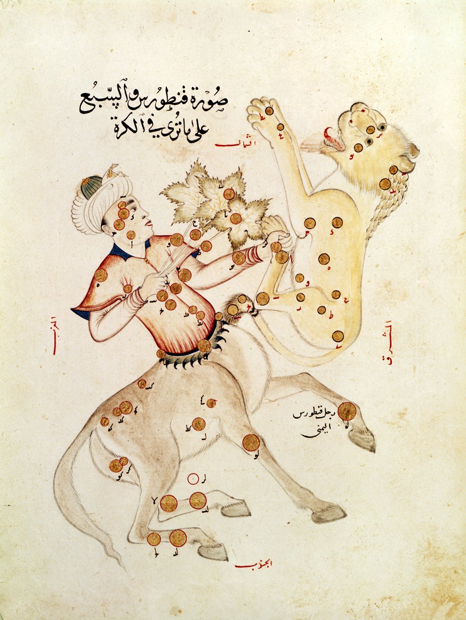 Ms 5036 fol.238 كوكبات سنتوروس وليو ، من أطروحة النجوم الثابتة لعبد الرحمن الصوفي (903-986) بواسطة المدرسة العربية