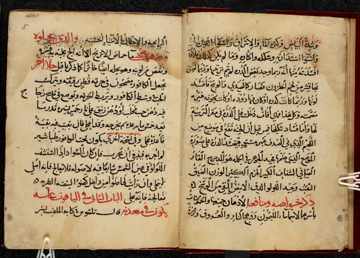 بواسطة المدرسة العربية