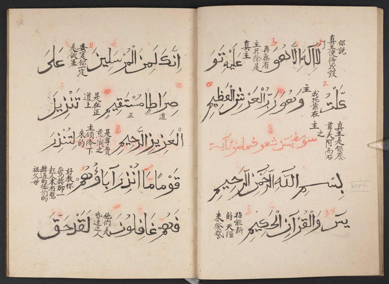 القرآن ، BL IO Islamic 3440 ، f.13v-14r بواسطة المدرسة العربية