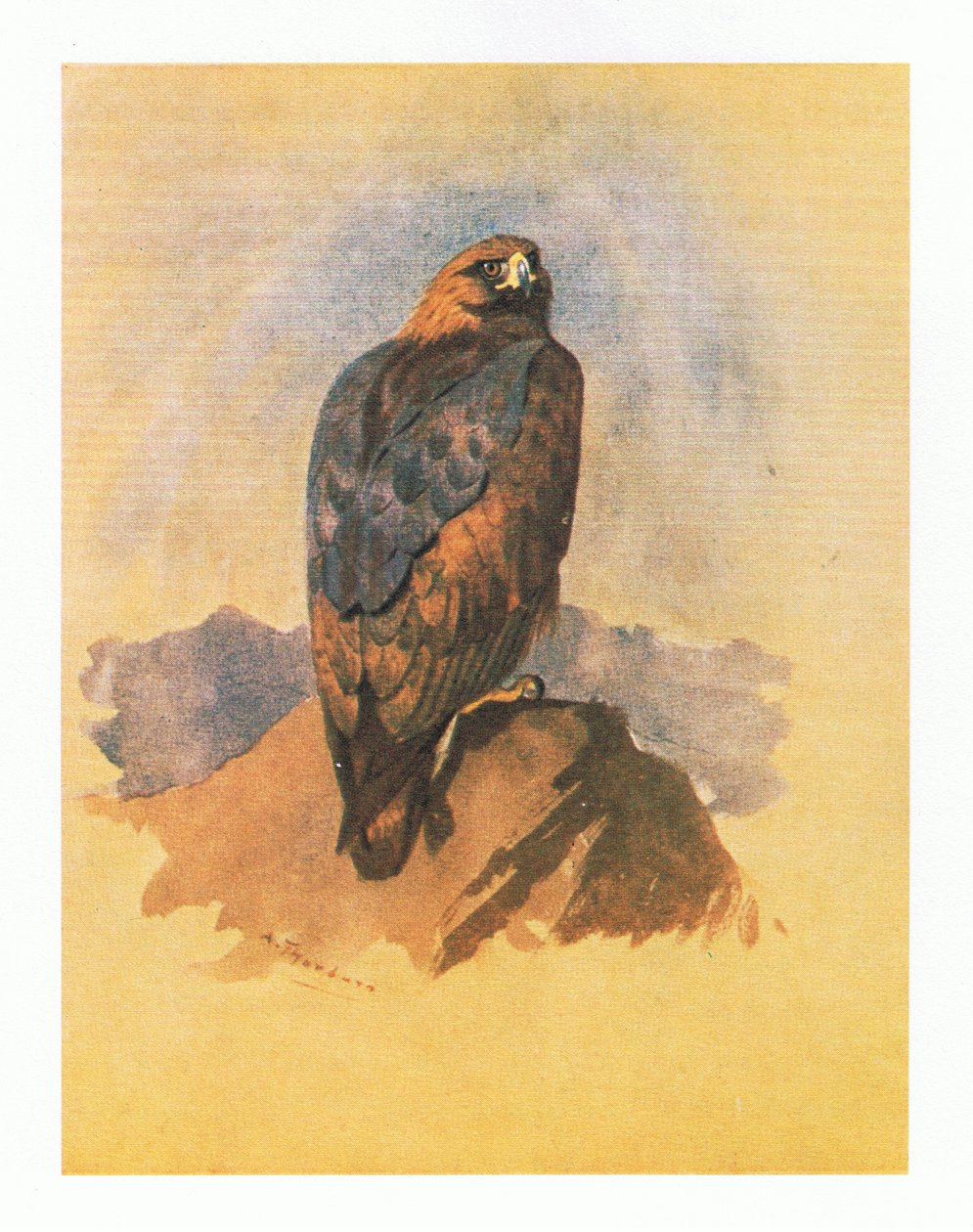 دراسات النسر الذهبي ، حانة. بواسطة Book Club Associates ، 1972 بواسطة أرشيبالد ثوربورن