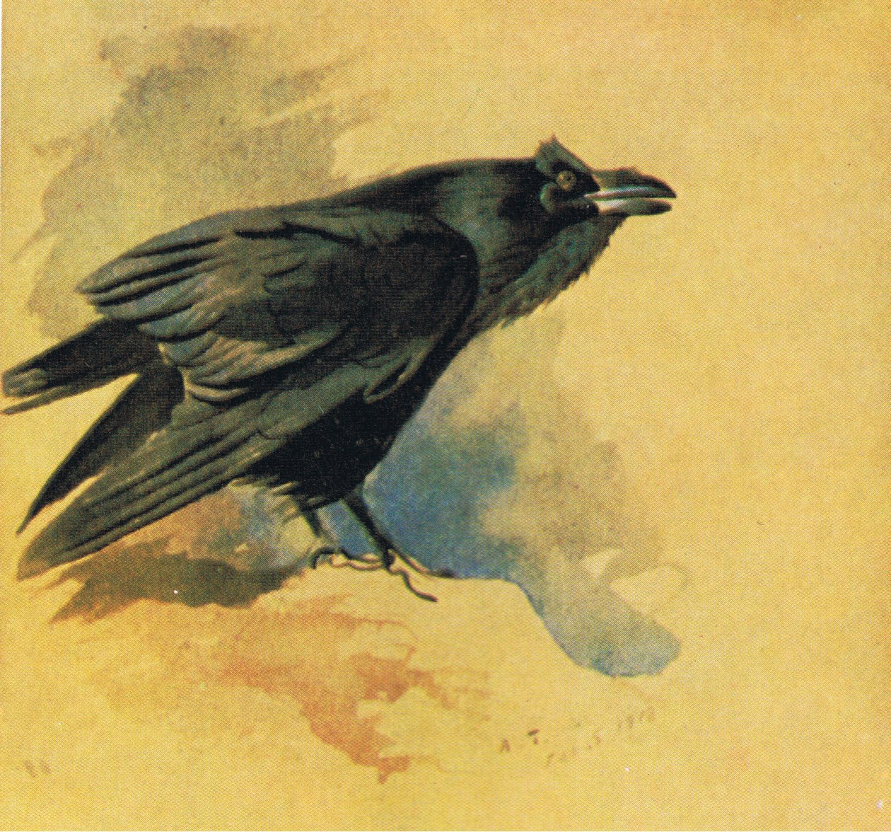 الغراب ، حانة. بواسطة Book Club Associates ، 1972 بواسطة أرشيبالد ثوربورن