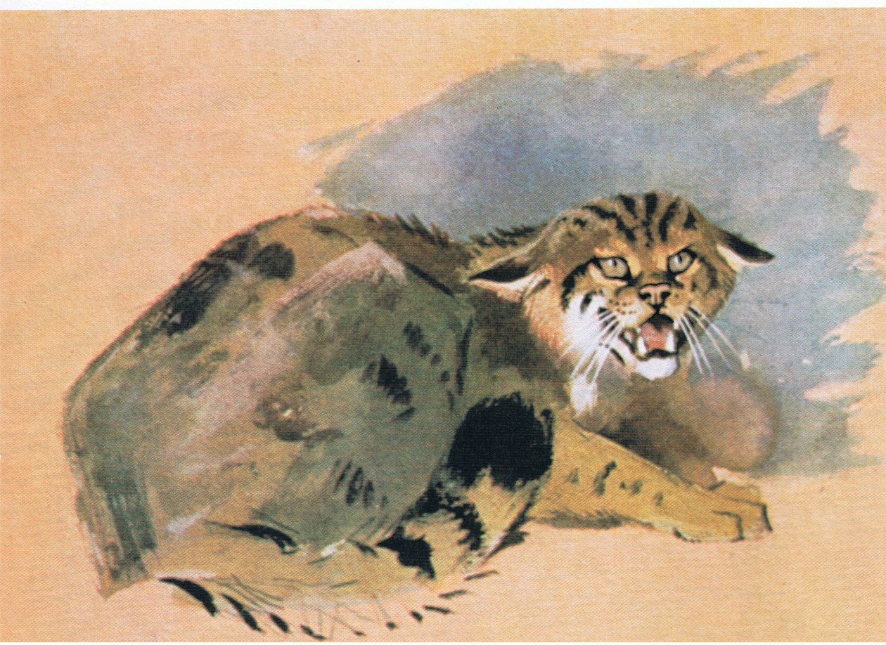 Wildcat ، حانة. بواسطة Book Club Associates ، 1972 بواسطة أرشيبالد ثوربورن