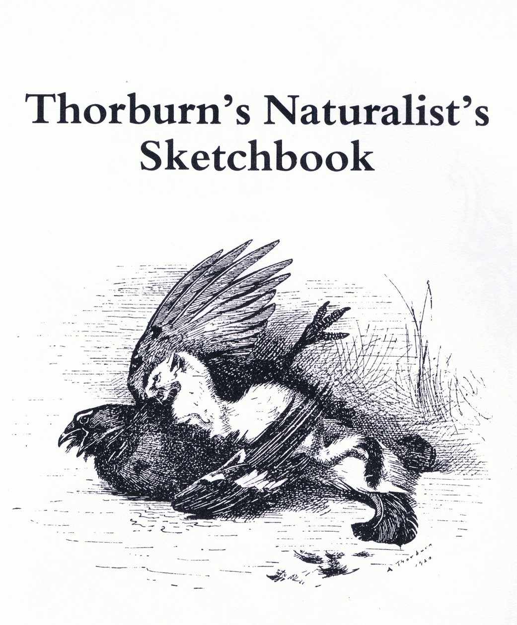 Title Page (Stoat and Gamebird), pub. by Book Club Associates بواسطة أرشيبالد ثوربورن