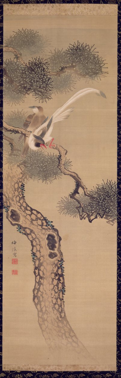 طيور طويلة الذيل في شجرة الصنوبر ، c.1800 (حبر وألوان على الحرير) بواسطة أريوارا بايكي