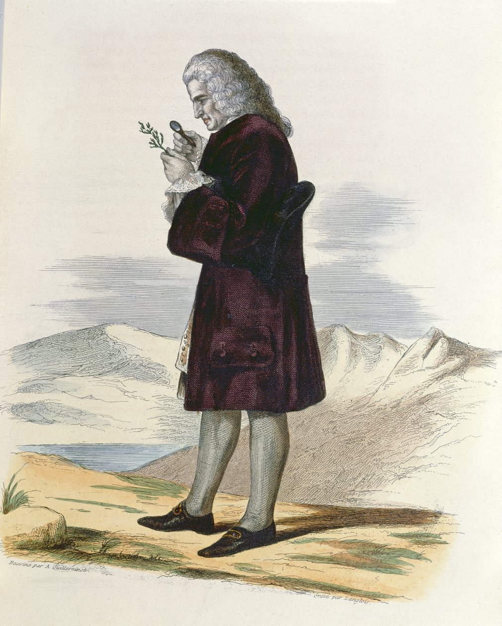 برنارد دي جوسيو (1699-1777) c.1820 بواسطة أرماند جيليمينوت