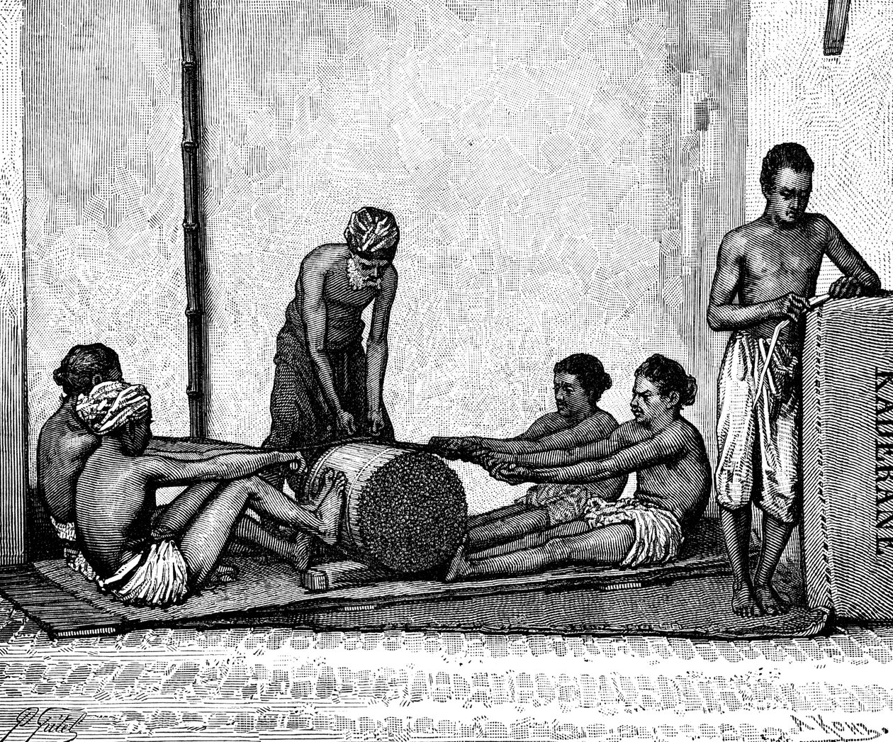 تغليف القرفة ، الهند ، 1895. بواسطة أرماند كول