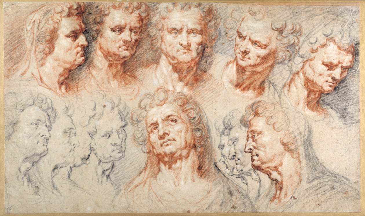 Thirteen studies based on a Roman imperial head (black & red chalks with brown ink on white paper) بواسطة أرنولد أو أرتوس الأكبر كويلين الأول
