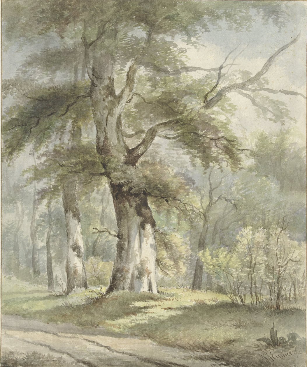 عرض الغابات بواسطة Arnoldus Johannes Eymer
