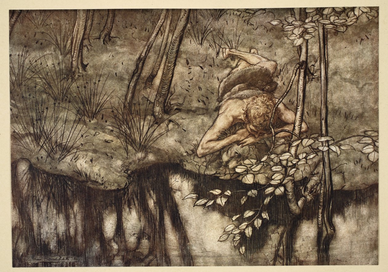 يرى Siegfried نفسه في الجدول ، التوضيح من Siegfried و Twilight of the Gods ، 1924 بواسطة آرثر راكهام