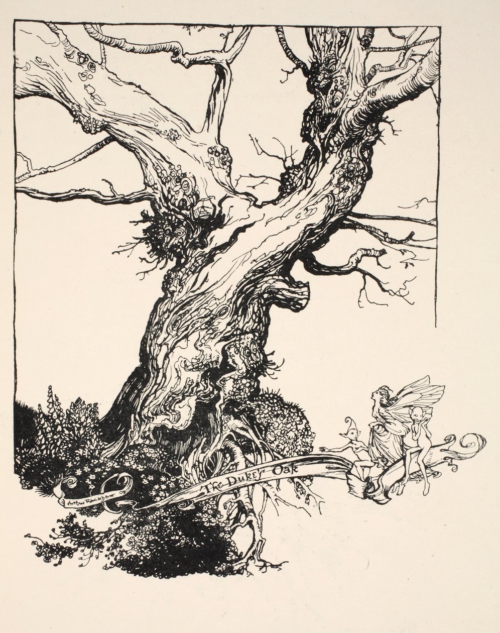 The Duke&39;s Oak ، رسم توضيحي من "حلم ليالي منتصف الصيف" بقلم ويليام شكسبير ، 1908 بواسطة آرثر راكهام
