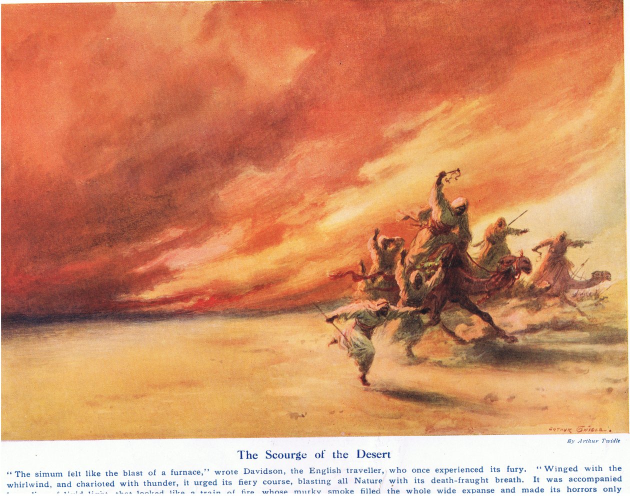 آفة الصحراء ، رسم توضيحي من "عجائب الأرض والبحر" ، نشره كاسيل ، لندن ، 1914 بواسطة آرثر تويدل