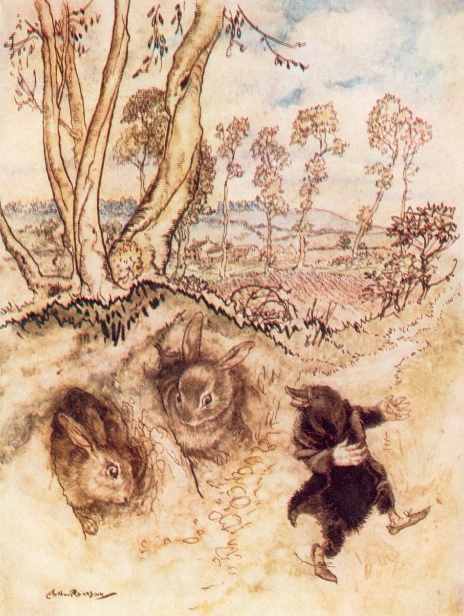  بواسطة آرثر (بعد) راكهام