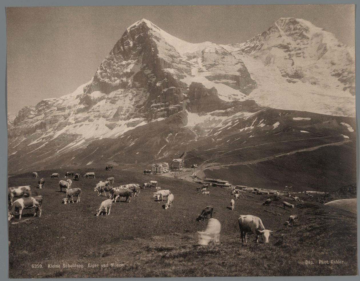 أبقار على Kleine Scheidegg في بيرنيز أوبرلاند ، في الخلفية Eiger و Mönch Kleine Scheidegg ، Eiger und Moench (العنوان على الكائن) بواسطة آرثر جابلر