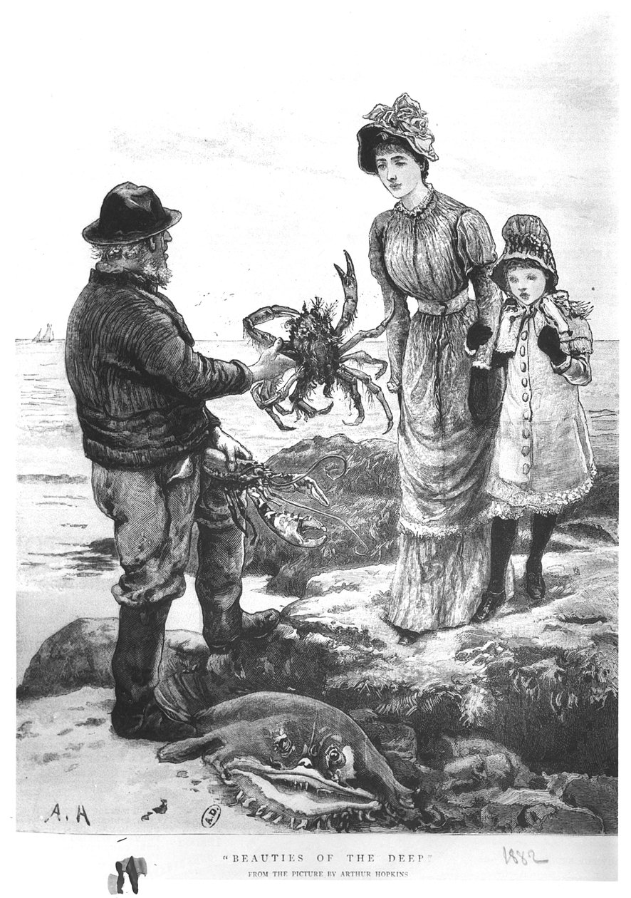 "محاسن الأعماق" ، 1882 بواسطة آرثر هوبكنز