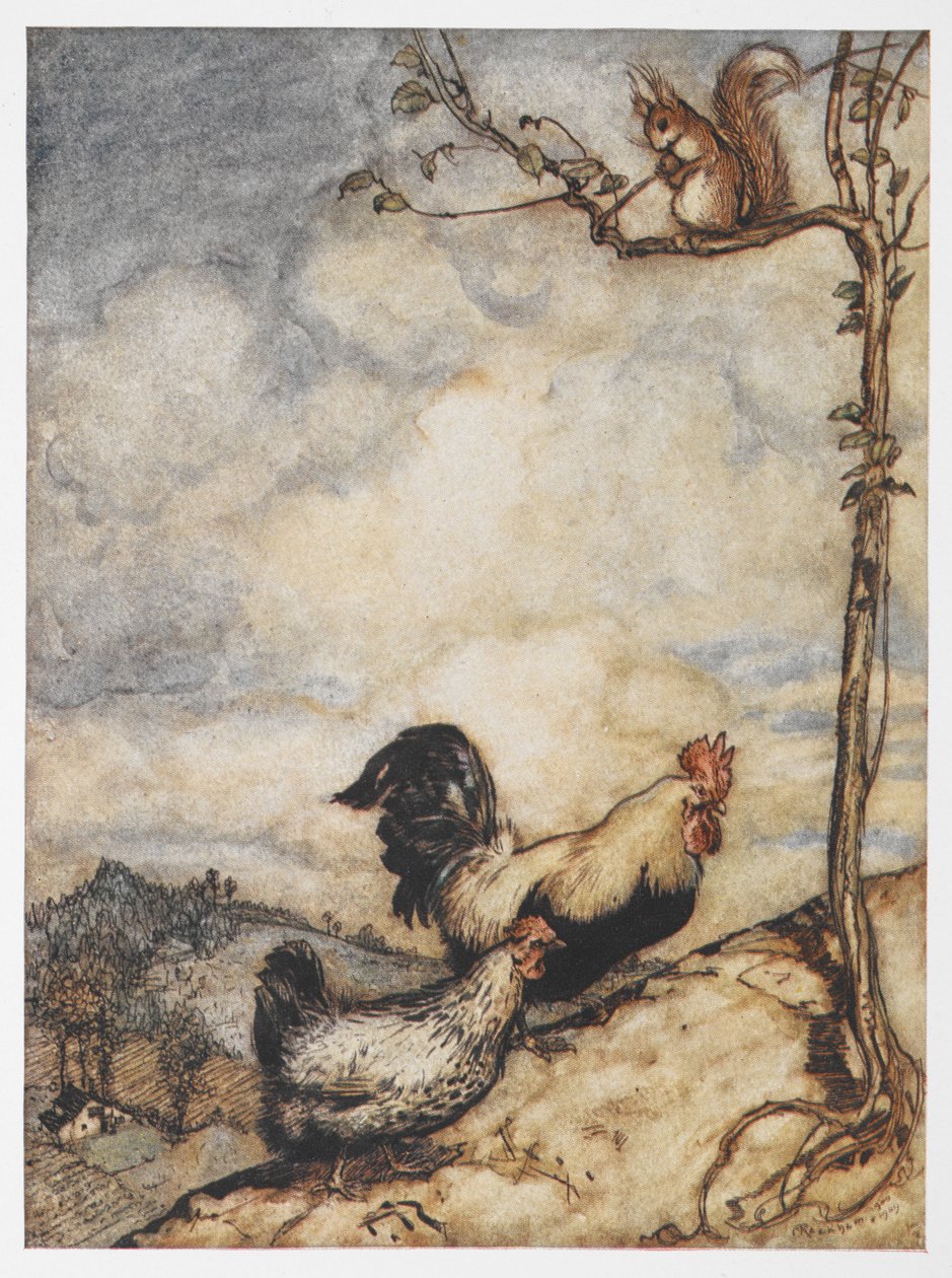 رسم توضيحي للدجاجة والديك الصغير والسنجاب من The Adventures of Chanticleer and Partlet. بواسطة آرثر راكهام