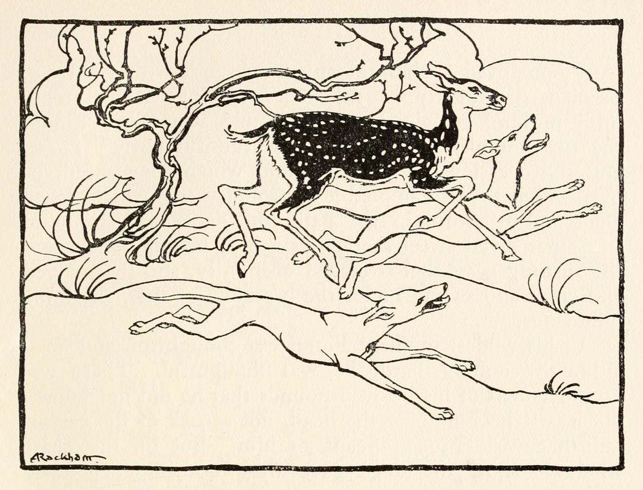 Becfola في مركبتها من The Wooing of Becfola in Irish Fairy TalesSee desc بواسطة آرثر راكهام