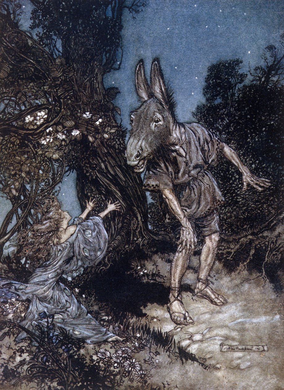 أسفل الرجل ذو رأس الحمار وتيتانيا ملكة الرسوم. رسم إيضاحي لآرثر راكهام (1867-1939) لحلم ليلة صيفية بقلم ويليام شكسبير بواسطة آرثر راكهام