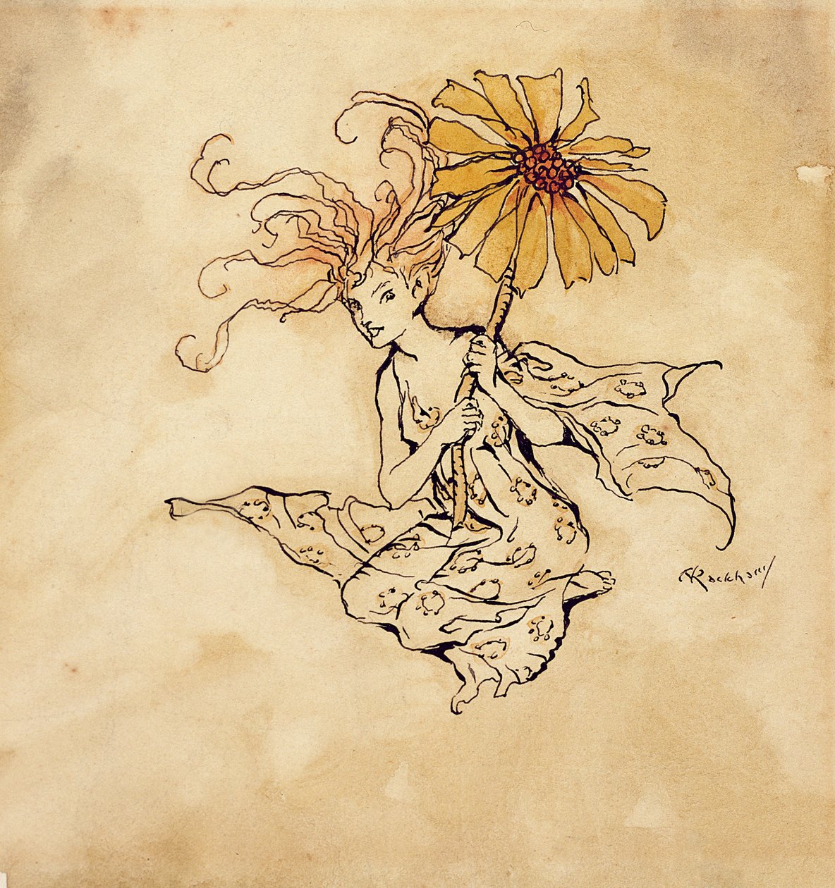 ديزي فيري ، رسم توضيحي من بيتر بان في حدائق كينسينجتون ، بقلم جي إم باري ، نُشر عام 1912 (قلم وحبر ومرحاض على الورق) بواسطة آرثر راكهام