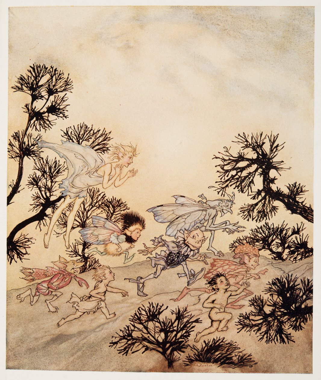 اذهب لشحن عفاريتي أنهم يطحنون مفاصلهم بالتشنجات الجافة ، التوضيح من وليام شكسبيرز The Tempest ، الحانة. 1926 بواسطة آرثر راكهام