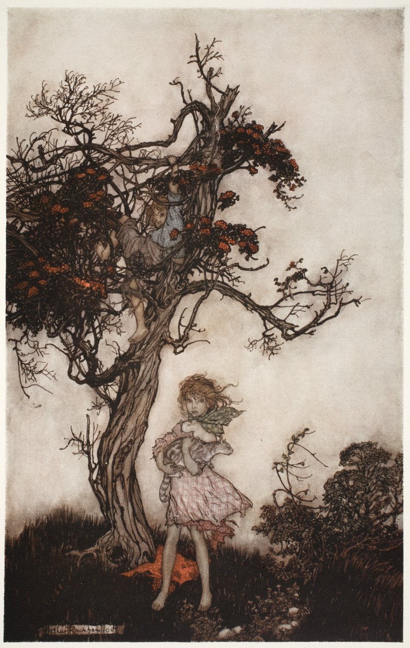 كان أطفاله متوحشين ومتوحشون كما لو أنهم لا ينتمون إلى أحد. ، من Rip Van Winkle by Washington Irving ، حانة. 1910 بواسطة آرثر راكهام